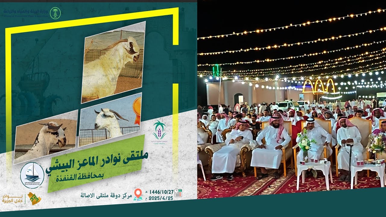 تغطية ملتقى نوادر الماعز البيشي في محافظة القنفذة 2025