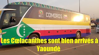 Les Cœlacanthes sont bien arrivés à Yaoundé et prêts à rejoindre leur hôtel