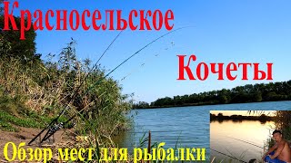Красносельское река Кочеты Обзор мест для рыбалки 