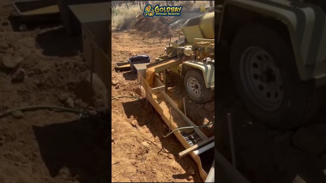 You really wanna be a gold miner? Once you’re bitten by the gold bug, there’s no turning back! ⛏️