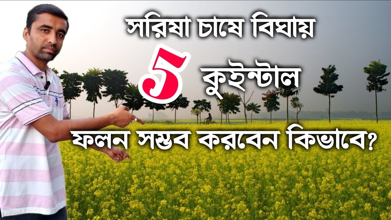 Katta eshak porno hd formatda