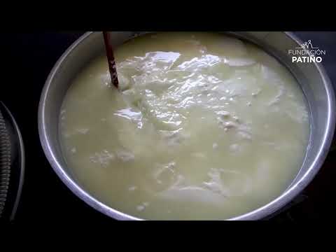Elaboración Queso Mozzarella