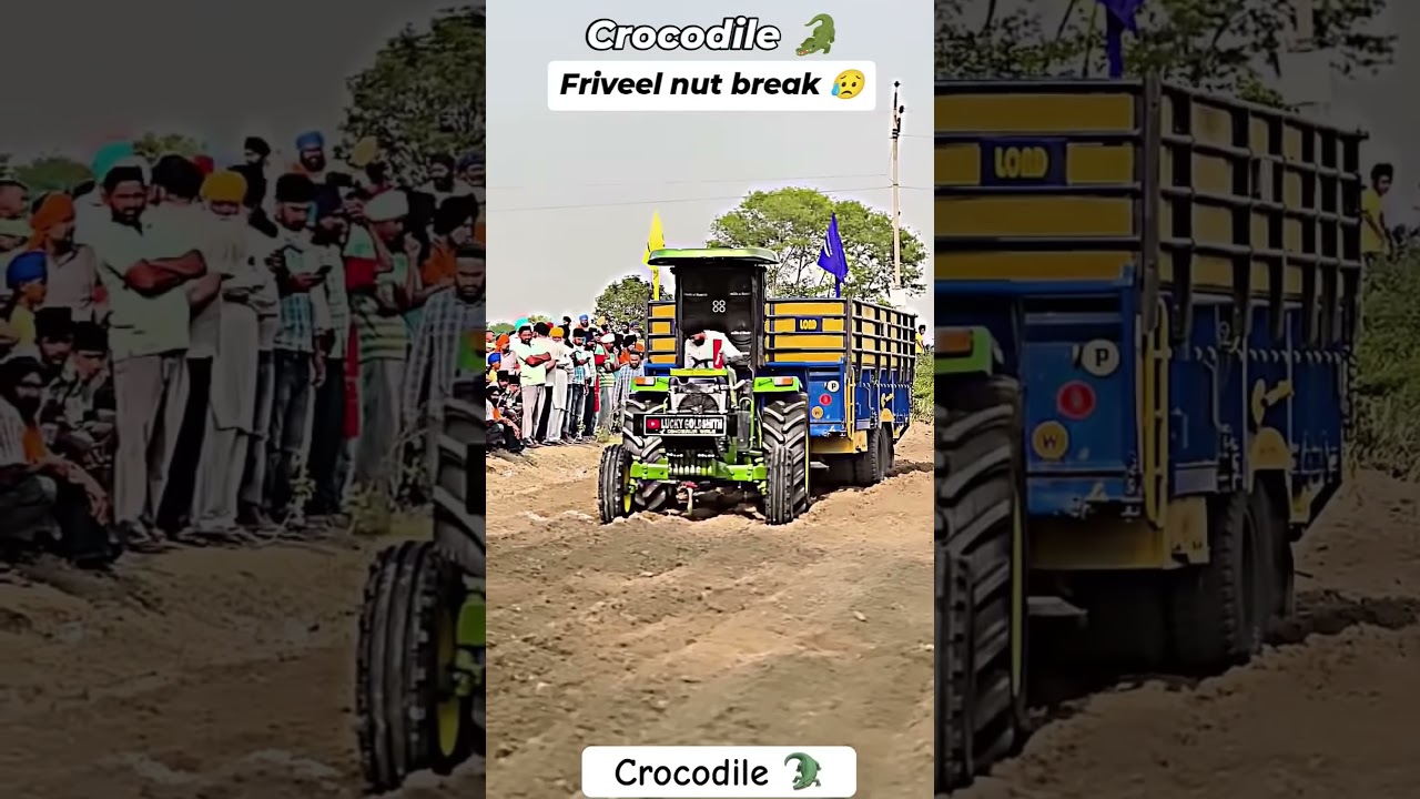 Friveel nut break  . . . 