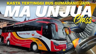 REVIEW OF THE HIGHEST CASTE OF GUMARANG JAYA BUS 