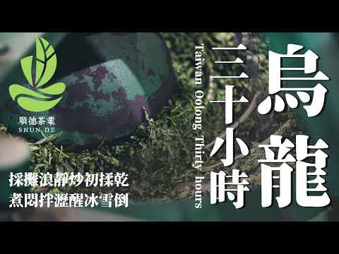烏龍三十小時｜製茶人｜台灣茶｜手搖飲料｜順德茶業｜松柏嶺