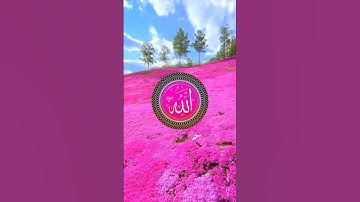 ( ومن آياته أن خلق لكم من أنفسكم أزواجا لتسكنوا إليها )