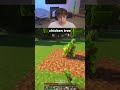 chicken tree