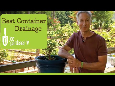 How to Get the Best Drainage for Your Container - Why What You've Been Taught is all Wrong