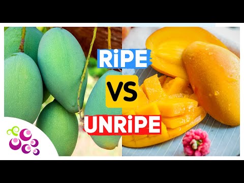 Why Ripe Fruits are Best for the Human Diet