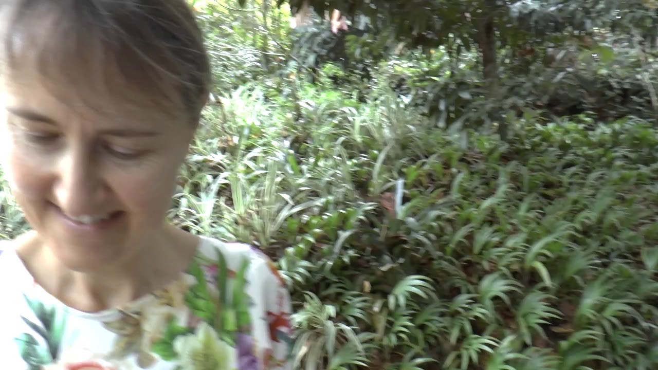 SRI LANKA 2019 - 10 - Brief Garden by Bevis Bawa