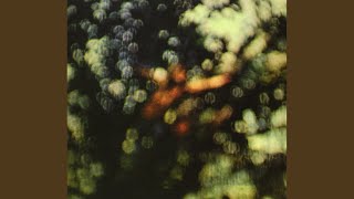 Video thumbnail of "Pink Floyd - Absolutely Curtains"