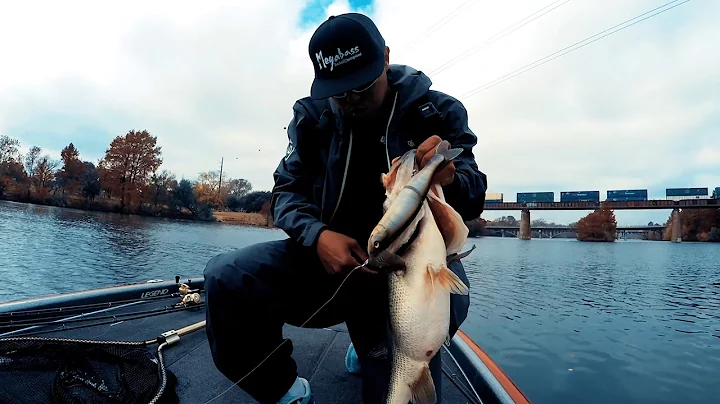 How I like to fish the Megabass Magdraft Swimbait @Oliver Ngy