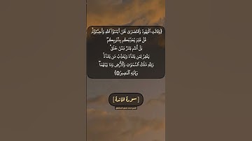 سورة المائدة الآية ١٨ بصوت الشيخ محمد صديق المنشاوي