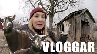 NU FLYTTAR DJUREN, ÄNTLIGEN! 🐐 | FLYTTVLOGG 🏡