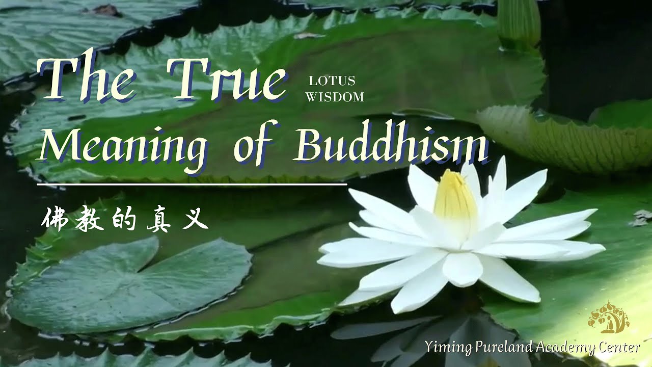 【ENG SUB】The True Meaning of Buddhism 佛教的真義 What is Buddhism? YouTube