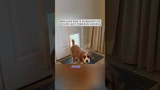 Man Says Hoa Is Suinghim For S1M-Just Fora Dog Door