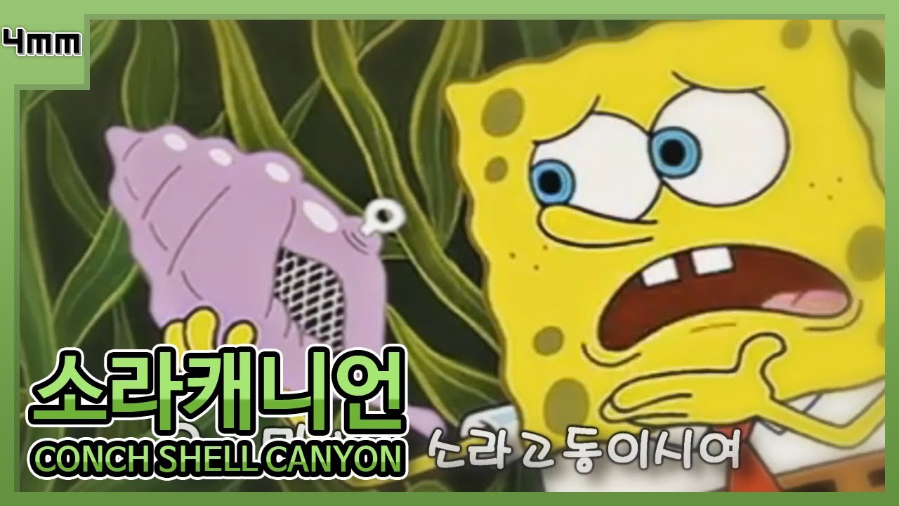 소라캐니언 (Conch Shell Canyon) - YouTube