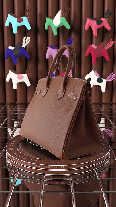 Hermes Limited Edition Birkin 25 Bag Ecru Toile H Chai Swift H
