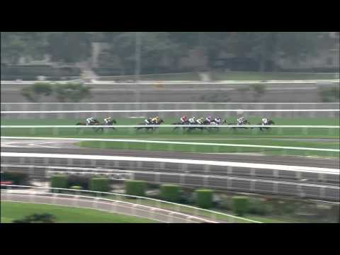 Shamardal's Able Friend wins the G1 Queen's Silver Jubilee Cup at Sha Tin