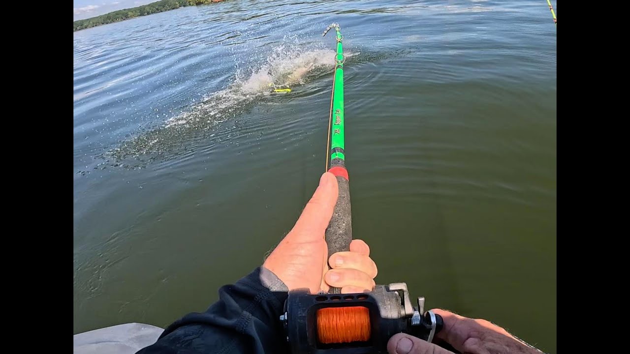 BIG FISH! EPIC FIGHT!