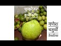 Ganesh Chaturthi 🙏ke liye चकोतर 🍈harvesting 🌳