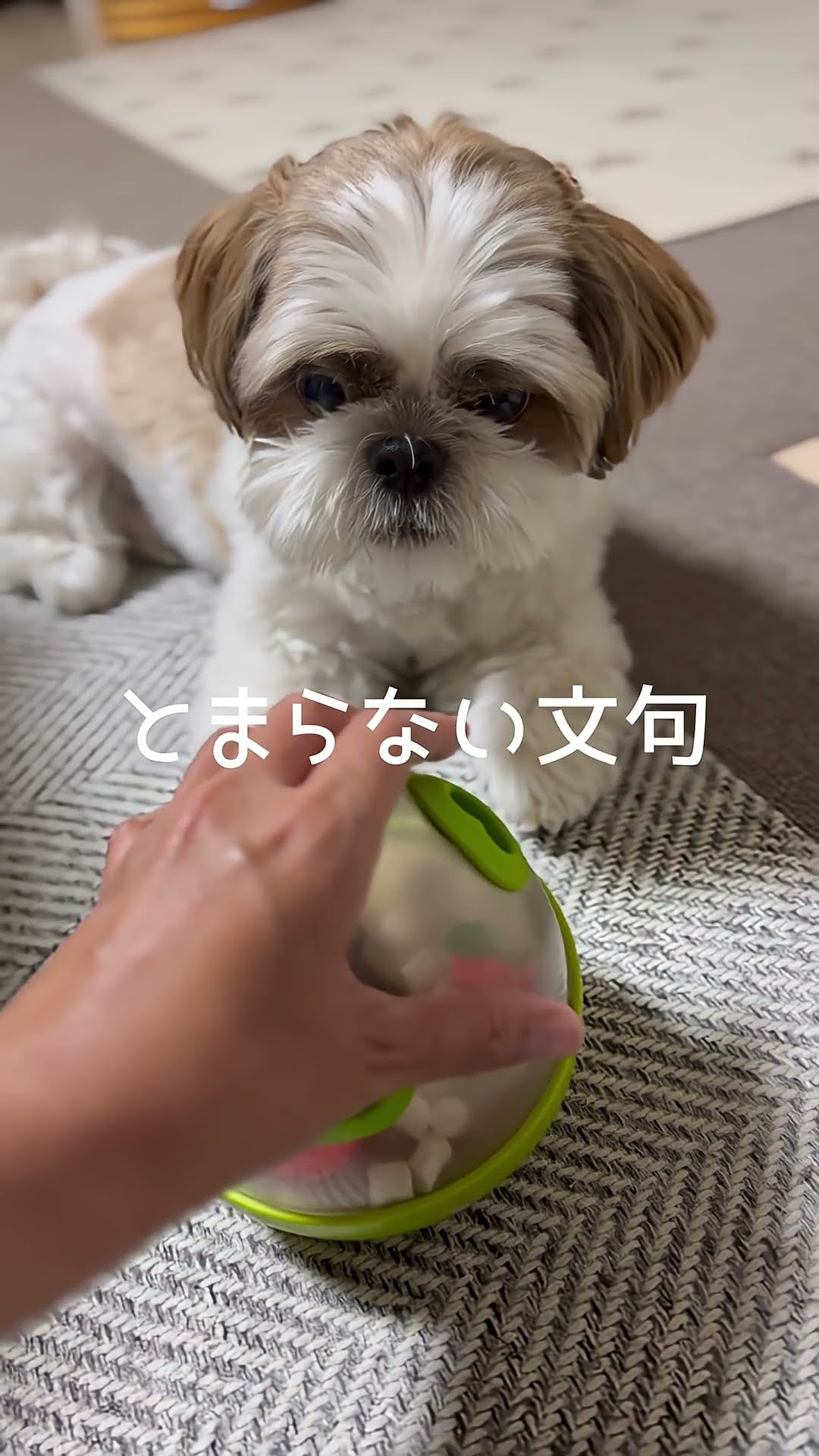 福来ちゃんねる - YouTube