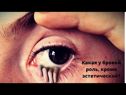 Какая у бровей роль, кроме эстетической?