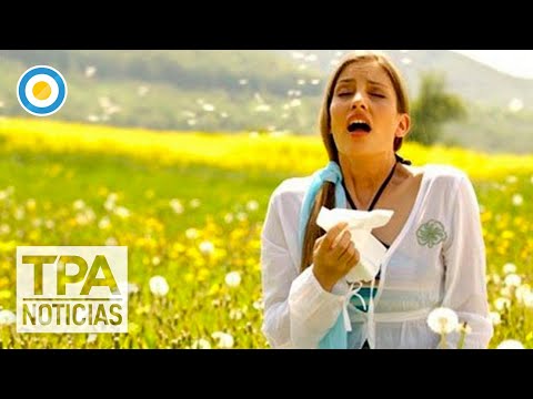 Consejos para prevenir las alergias de primavera | #TPANoticias