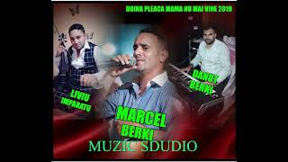 liviu imparatu si marcel berki doina mama 0743464436