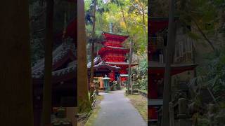 Not Just A Temple A Journey Into Tranquility.