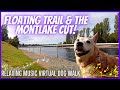 🎵Marsh Island & The Montlake Cut / The Arboretum Waterfront Trail / Relaxing Music Virtual Dog Walk