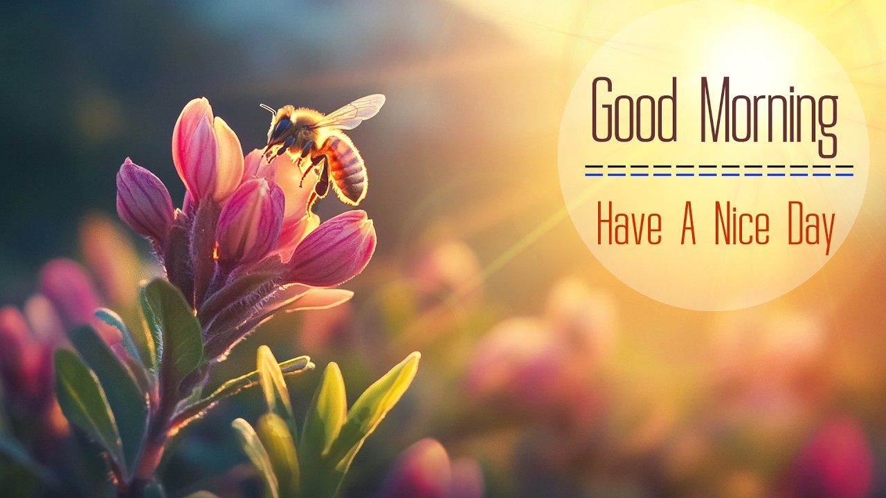 BEAUTIFUL MORNING MUSIC - Wake Up Smiling & Full of Positive Energy - Best Morning Meditation Music