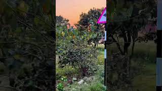 mausam technical vlog 💁🤷