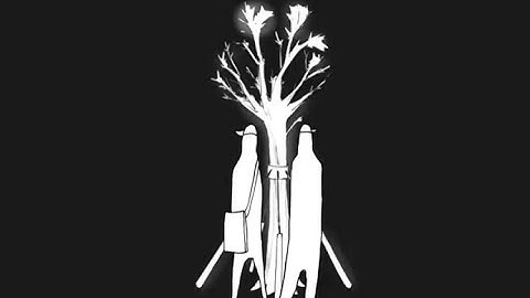 CSSSA 2021 final film- Life Cycle