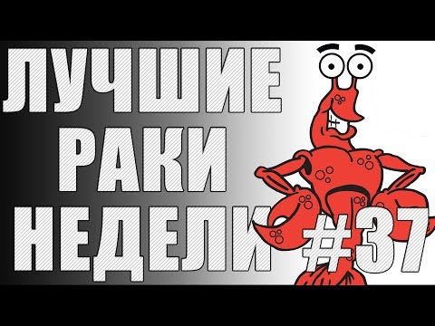 Видео: ЛРН выпуск №37. ТАНКОВОЕ СЭППУКУ и САМЫЙ ЛЕГКИЙ КОЛОБАНОВ [Лучшие Раки Недели]