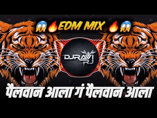 Pailwan Aala G Pailwan Aala ( EDM MIX ) Pailwan Aala DJ Song | DJ Ravi RJ class=