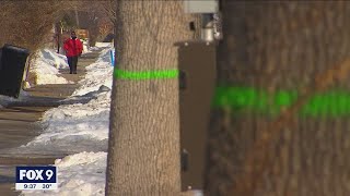 3,000 trees to be removed in St. Paul due to emerald ash borer | FOX 9 KMSP