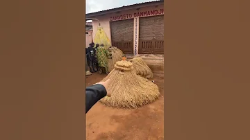 رقصة الشيطان سحر الفودو الأسود تابع الحلقة كاملة في القناة اكسبلور Africa Nature Wildlife 