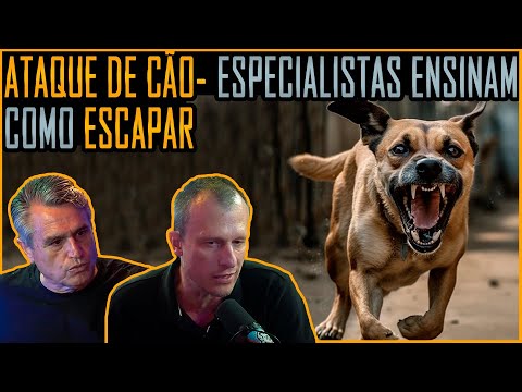 Vídeo: A dentição causa um filhote de cachorro a babar?