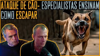 Ataque de Cão: Aprenda como Escapar ! #cachorro #DrPet #GilbertoMiranda