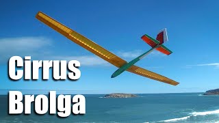Cirrus Wings on Brolga Body