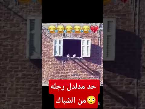 حد مدلدل رجله من الشباك News شورت اكسبلور عاجل مضحك Shorts 