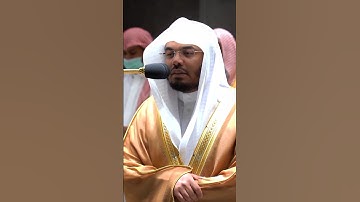 استمع بقلبك… تلاوة عطرة للشيخ ياسر الدوسري..!❤️🩹