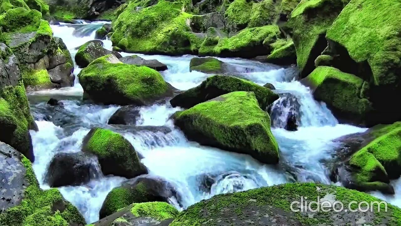 God, Restore My House