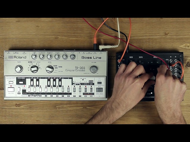 Plankton Electronics Spice + TB-303 (no talking) - YouTube