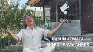 Harun Atmaca Bülbül Havalanmış (Akören Klibi)