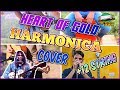 Heart of Gold (Harmonica + 12-String cover)