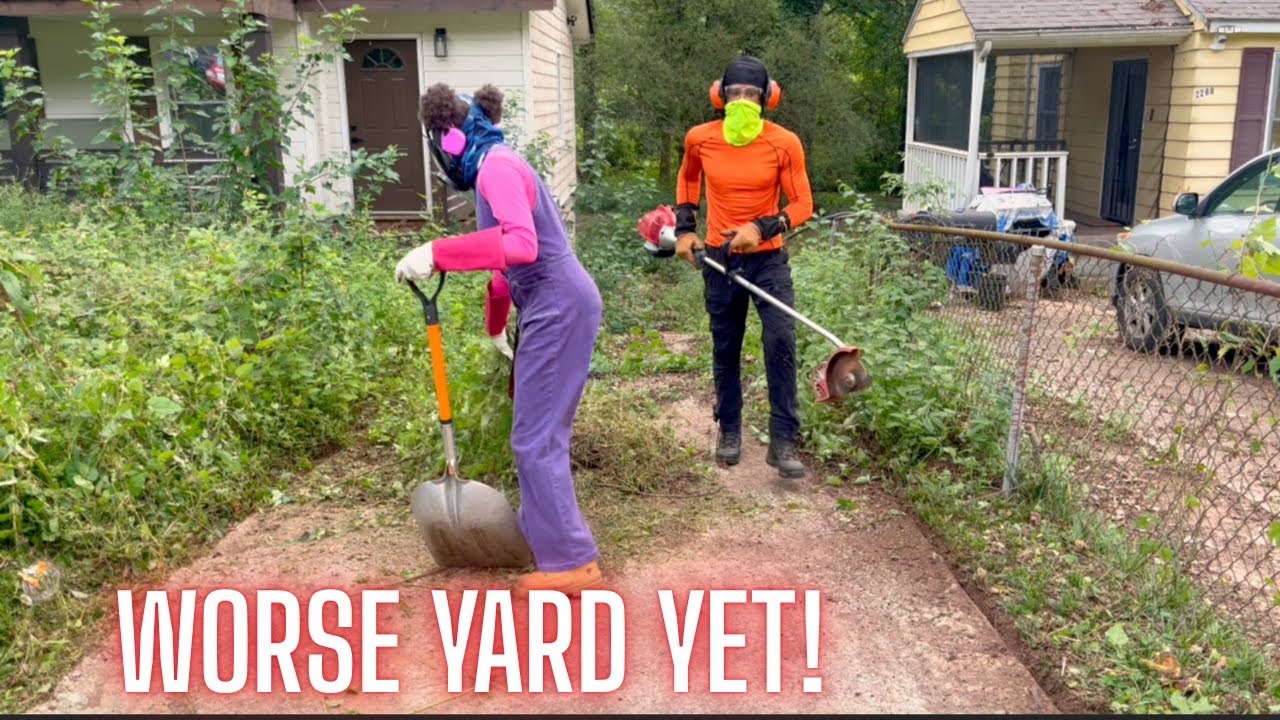 Neighborhood Eyesore Now The Best Lawn On The Block