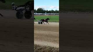 The Trotting Queen, Atlanta