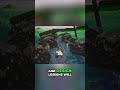 From Yoshi's Island fan game to Original game #shorts